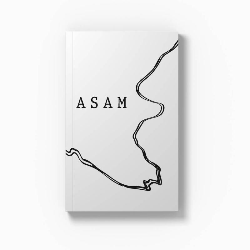 Cover: Markus Asam. Texte aus zwei Jahrzehnten